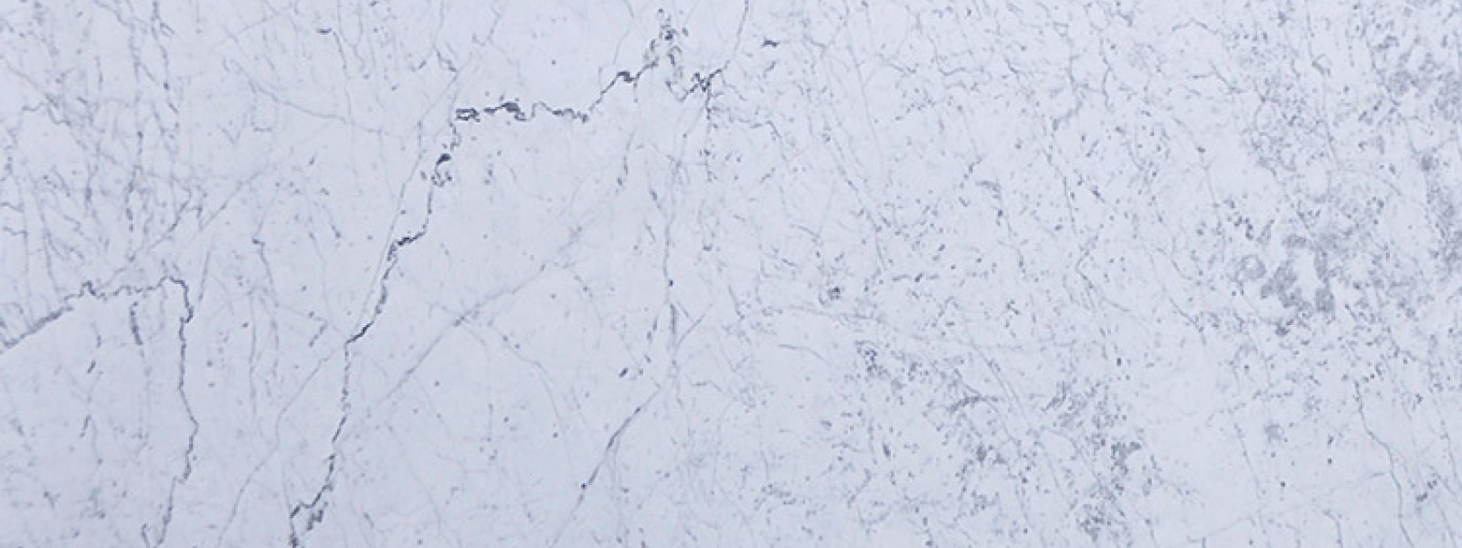 Carrara White